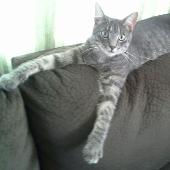 Meet your Posher, Jeannie - Picture 1 of 1